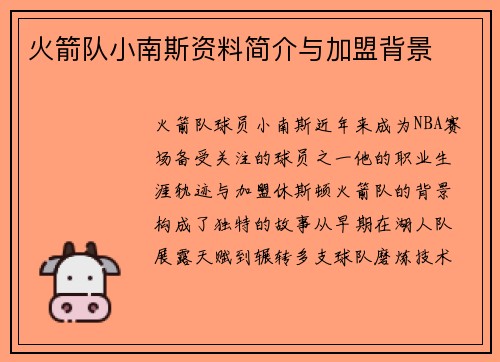 火箭队小南斯资料简介与加盟背景